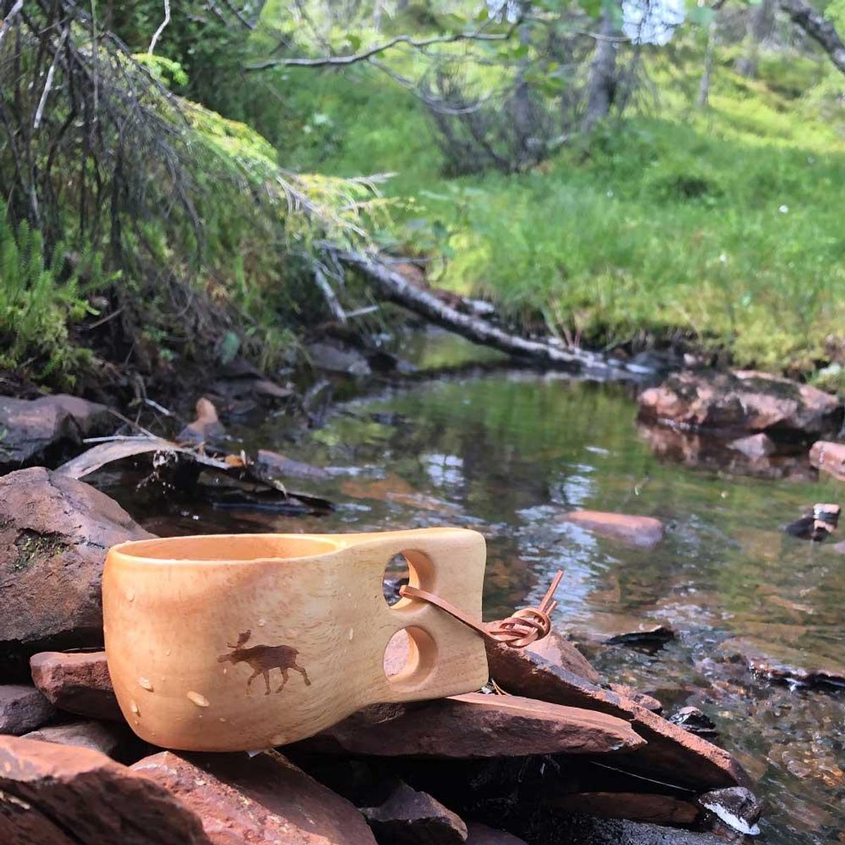 Hiking cup with leather strap, Norge and moose