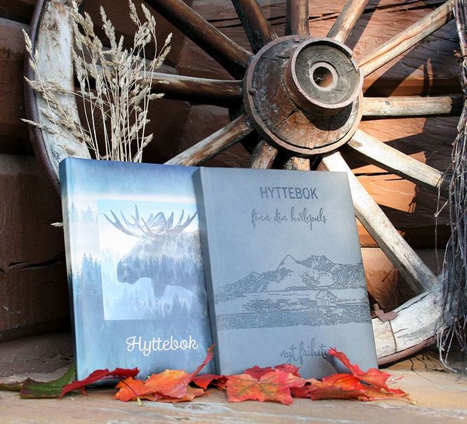 Main Image Cabin book, moose